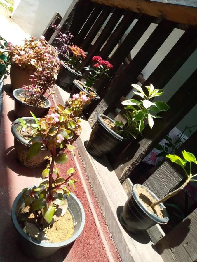 Ask Homestay Ella Exteriör bild